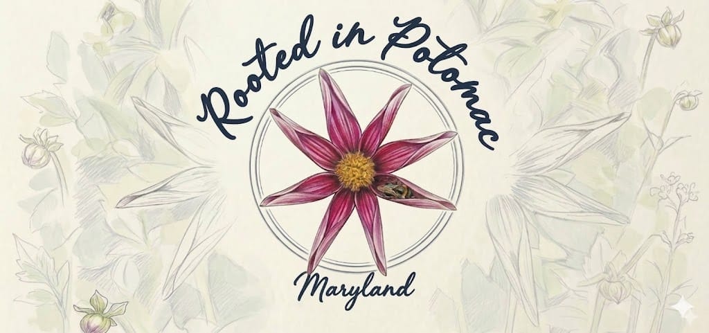Welcome to Rooted in Potomac